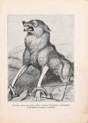 Подборка из 16 книг серии «Лики звериные»: